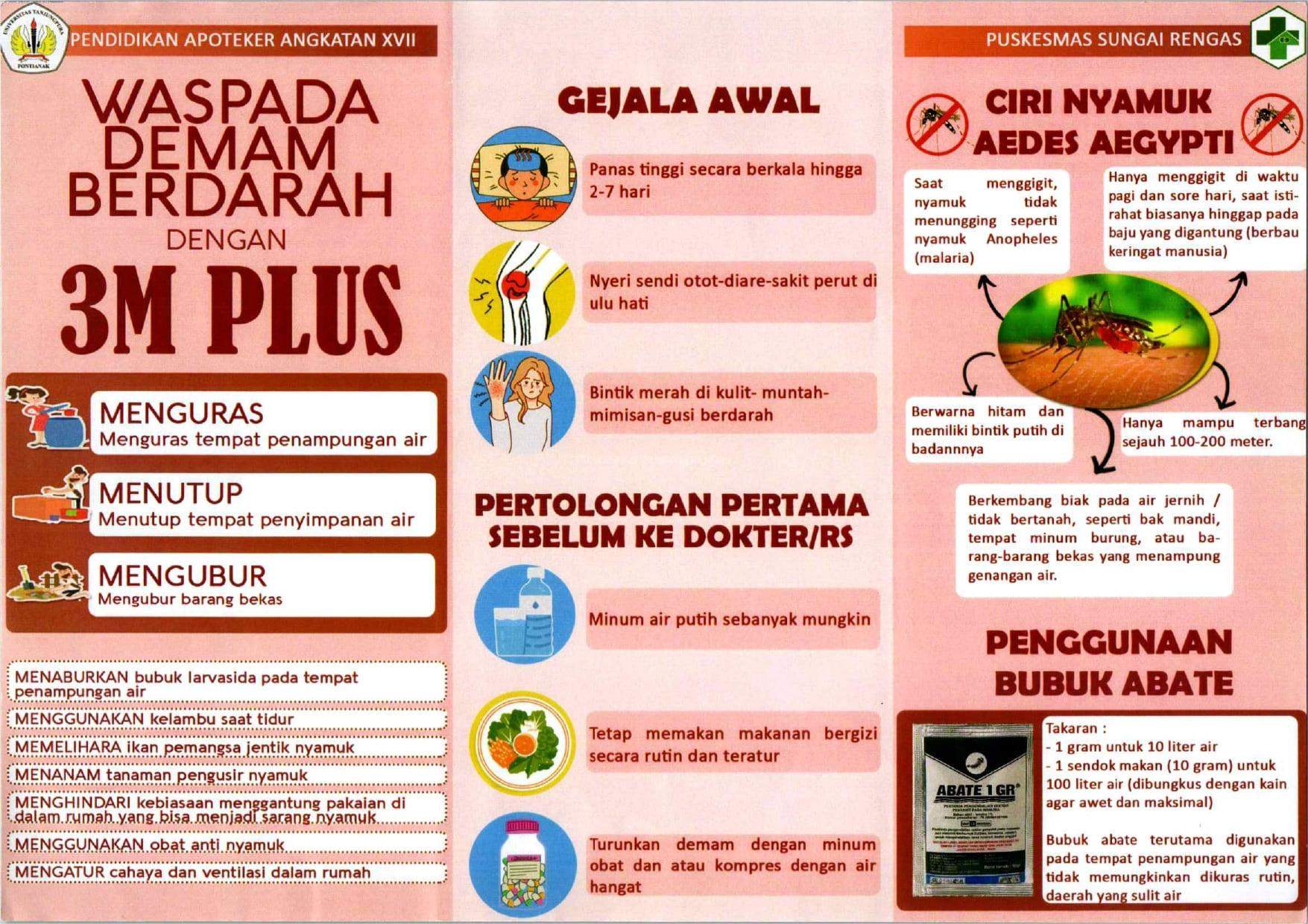 First slide